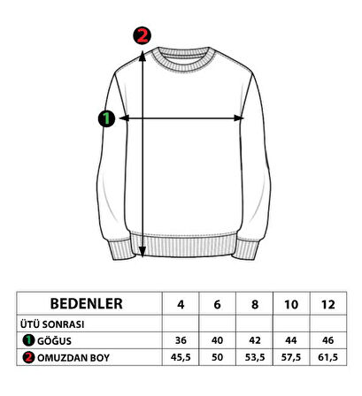 Toontoy Erkek Çocuk Balıkçı Yaka İçi Pamuklu Sweatshirt