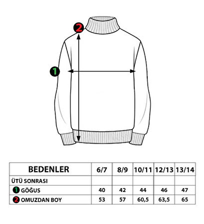 Toontoy Kız Çocuk Baskılı Taş İşlemeli Balıkçı Yaka Sweatshirt