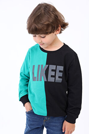Toontoy Erkek Çocuk İki Renkli Baskılı Sweatshirt