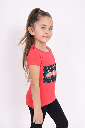 Toontoy Kız Çocuk Flamingo Baskılı Tişört