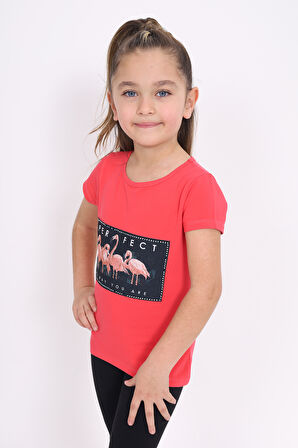 Toontoy Kız Çocuk Flamingo Baskılı Tişört