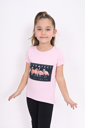 Toontoy Kız Çocuk Flamingo Baskılı Tişört