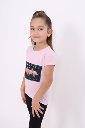 Toontoy Kız Çocuk Flamingo Baskılı Tişört