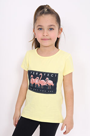 Toontoy Kız Çocuk Flamingo Baskılı Tişört