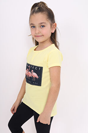 Toontoy Kız Çocuk Flamingo Baskılı Tişört