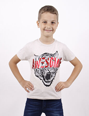 Toontoy Erkek Çocuk Awesome Pul Nakışlı T-Shirt