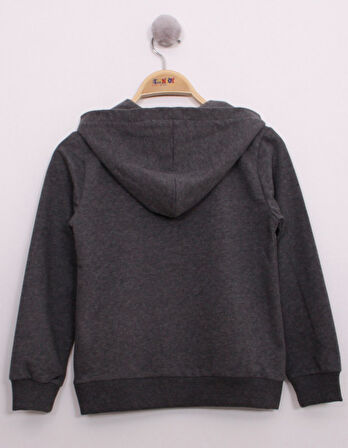 Toontoy Erkek Çocuk Pullu U.S.A Bayraklı Nakışlı Sweatshirt