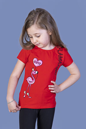 Toontoy Kız Çocuk Flamingo Desenli Taş İşlemeli Baskılı Tişört