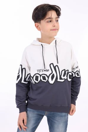 Toontoy Erkek Çocuk Relax Fit Kapüşonlu Düşük Omuz Renk Bloklu Baskılı Sweatshirt - 2 İplik