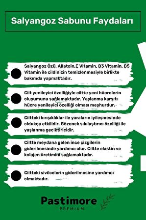 Pastimore %100 Doğal 2'li Antibakteriyel El Yüz Saç Vücut Cilt Orijinal Vegan Salyangoz Sabunu