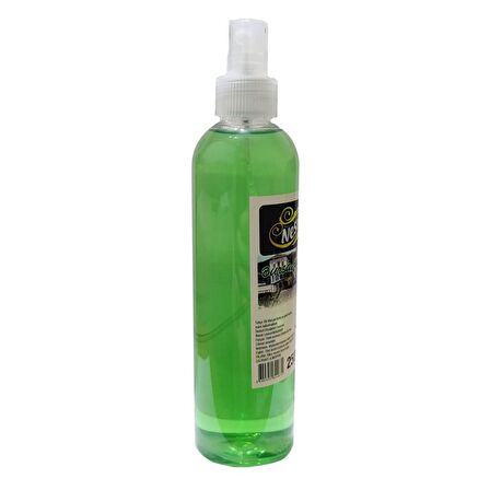 Nesrin Bursa Hatırası 60 Derece Sprey Pet Şişe 250 ml Kolonya