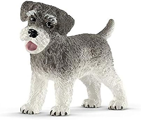 Farm World Minyatür Schnauzer