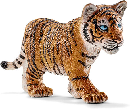 Wild Life Yavru Kaplan