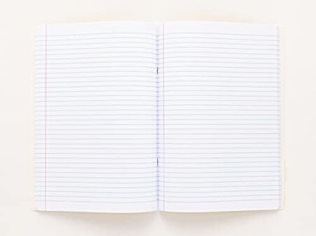 Colors A4 80 Yaprak Çizgili Defter, Somon
