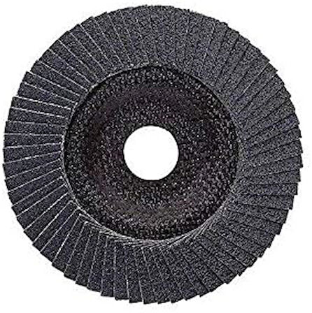 Professional Yelpaze taşlama diski (açılı taşlama makineleri için, farklı malzemeler için, çap 180 mm, granülasyon 60)