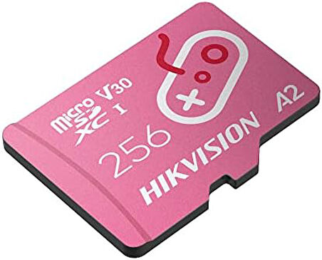 TF G2, 256GB, 170mb/sn, MicroSD Card