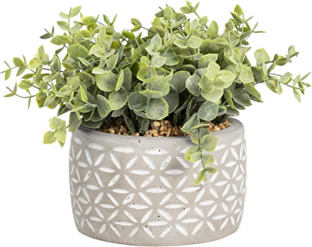 Concept Midori Saksılı Yapay Bitki 12 x 20 cm