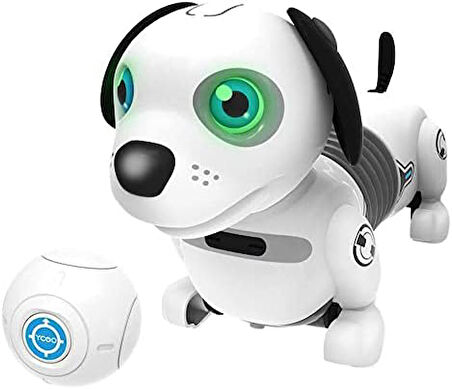 Robo Dackel Junior