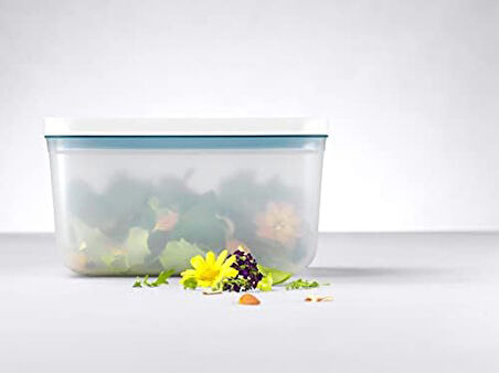 Fresh & S Vakumlu Saklama Kabı, L, Plastik, Yari Şeffaf-Akdeniz Mavisi