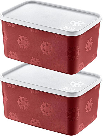 2'Li Set No Frost Saklama Kabı Carmen 2600 ML