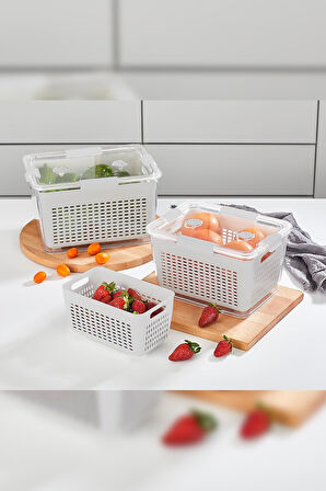 Home - Lavin 4 Litre Açık Gri Saklama Kabı