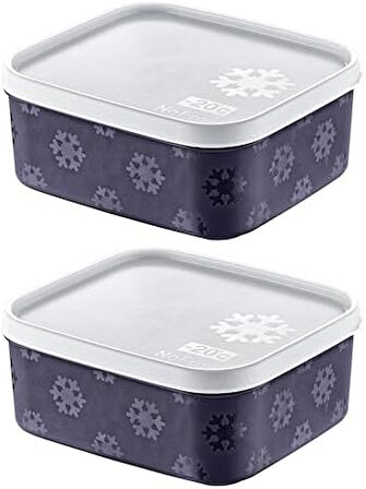 2'Li Set No Frost Saklama Kabı Lacivert 700 ML