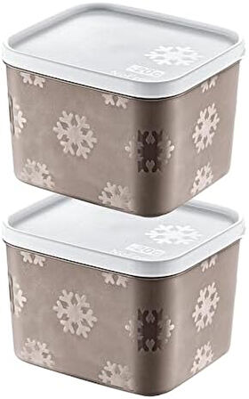 2'Li Set No Frost Saklama Kabı Terra 1250 ML
