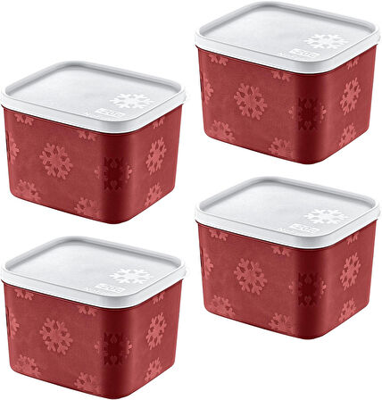 4'Lü Set No Frost Saklama Kabı Carmen 1250 ML