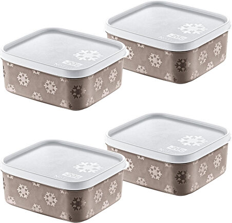 4'Lü Set No Frost Saklama Kabı Terrra 700 ML