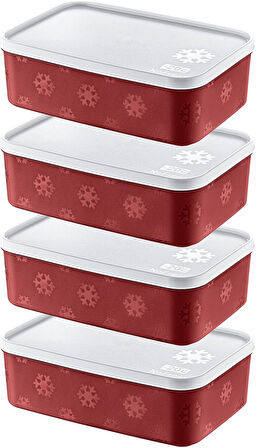 4'Lü Set No Frost Saklama Kabı Carmen 1600 ML