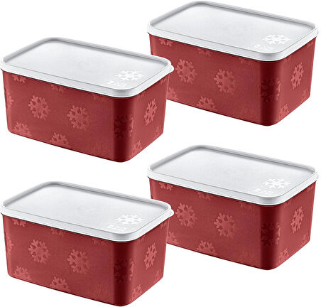 4'Lü Set No Frost Saklama Kabı Carmen 2600 ML