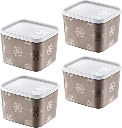 4'Lü Set No Frost Saklama Kabı Terra 1250 ML