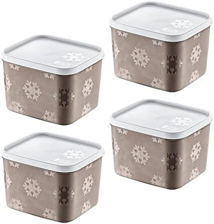 4'Lü Set No Frost Saklama Kabı Terra 1250 ML