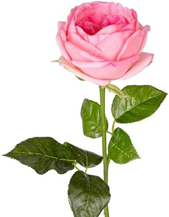 Yapay Çiçek Islak Dokulu Gül Pembe 48 Cm.