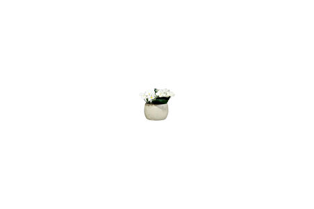 DAHİL,VAZO DAHİL,VAZODA ÇİÇEK,BEYAZ YAPAY ÇİÇEK,VAZO DEKORATİF İSTİRİDYE POLİRESİN 10X5X14CM