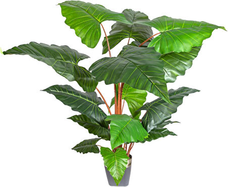 Yapay Alocasia - Fil Kulağı Ağacı Gerçek Dokulu 16 Yaprak 150 Cm.