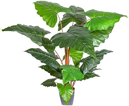 Yapay Alocasia - Fil Kulağı Ağacı Gerçek Dokulu 16 Yaprak 150 Cm.