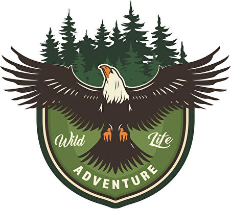 Aksesuar Adventure Camping Off Road Sticker Kartal Eagle Sticker 14 x 13 cm