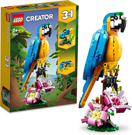 Creator Egzotik Papağan 31136-7 Yaş ve Üzeri Çocuklar İçin Papağan, Balık ve Kurbağa Modelleri İçeren Yaratıcı Oyuncak Yapım Seti (253 Parça)