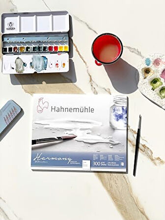 10 628 844 Hahnemühle Harmony Rough 24x30