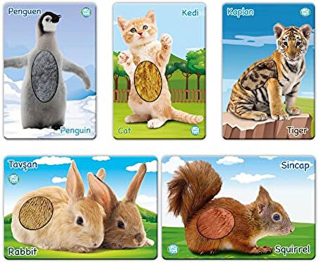 Toys Dokun Hisset Yavru Hayvanlar