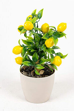 ÇİÇEKÇİNİZ Beyaz Plastik Saksıda Bambu Gövdeli Limon Ağacı 25 Cm