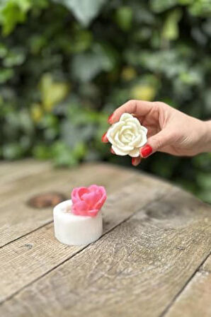 Concept Laui Sukulent Mum Kalıbı (Silikon)