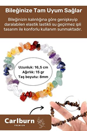 Premium Akrep Burcu Enerjisini Yükselten Doğal Taş Bileklik Akrep Burçları Burç Unisex Bileklik