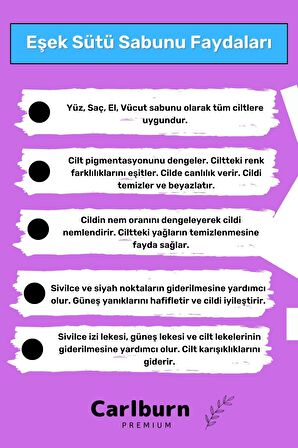 Özel %100 Doğal Bitkisel El Yüz Vücut Saç Cilt Orijinal Vegan 2'li Eşek Sütü Sabunu