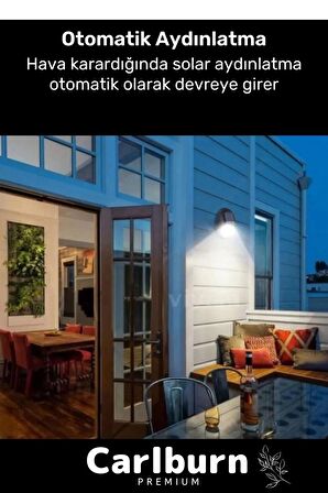 Özel Premium Açma Kapama Tuşlu Solar Su Geçirmez Oval Duvara Monteli 10 Ledli Bahçe Lambası 1 Adet