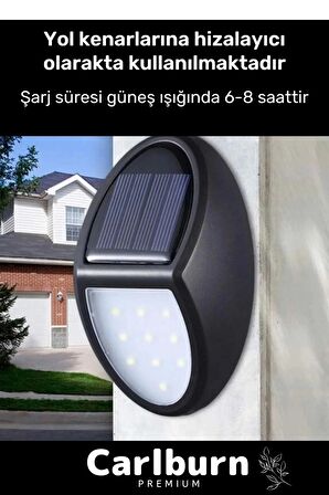 Özel Premium Açma Kapama Tuşlu Solar Su Geçirmez Oval Duvara Monteli 10 Ledli Bahçe Lambası 3 Adet