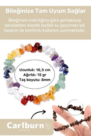 Premium Aslan Burcu Enerjisini Yükselten Doğal Taş Bileklik Aslan Burçları Burç Unisex Bileklik