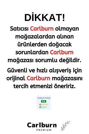 Özel Üretim Kaliteli İnsan Anatomisine Uyumlu Muayene Maket 20Cm Kulak Maketi Akupunktur Noktası