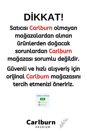 Premium 12000Pa Çekiş 2000mAh Pil Otomatik Aydınlatma Taşınabilir Akülü Araç Süpürgesi